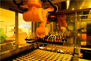 Line fully automatic LDI